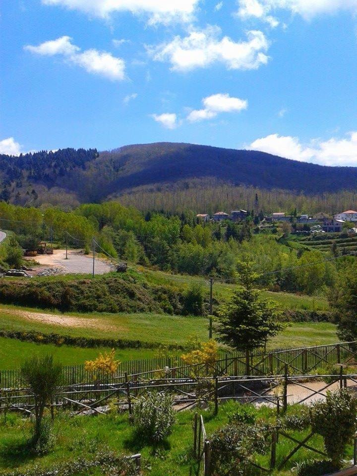 B&B Passo Del Falco Sorianello Exteriör bild