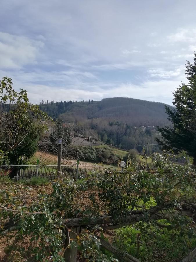 B&B Passo Del Falco Sorianello Exteriör bild